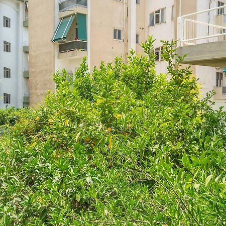 Alimos Sun-Filled Apartment Atina Dış mekan fotoğraf